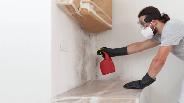 Professional Mold Testing technician working in Warrenville, IL